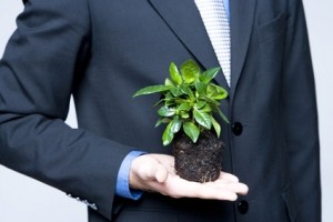 Plant in a hand close up Interim Manager, Interims Manager, Interim Management, Interims Management, Interim-Manager, Interims-Manager, Projektleiter