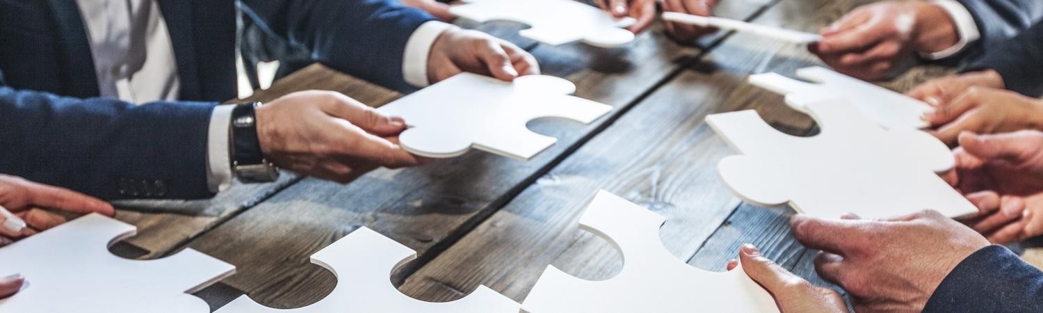 franken-consulting, unternehmensberatung, strategie, marketing, vertrieb