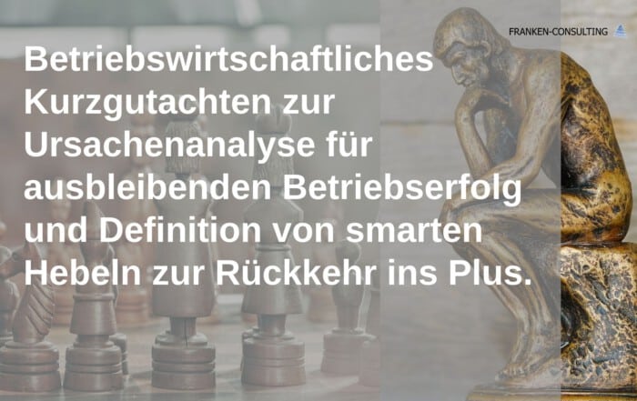 franken-consulting-kurzgutachten